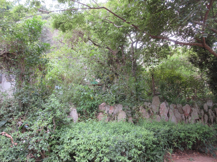 3 Bedroom Property for Sale in Bathurst Eastern Cape